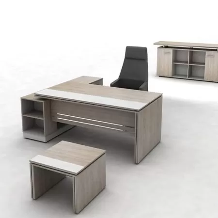 SENIOR MANAGEMENT OFFICE