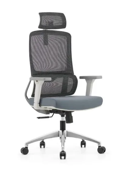 Pro Comfort ergonomic mesh office chair gray white