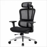 Spine ergonomic office chair with 4D headrest and high-back mesh