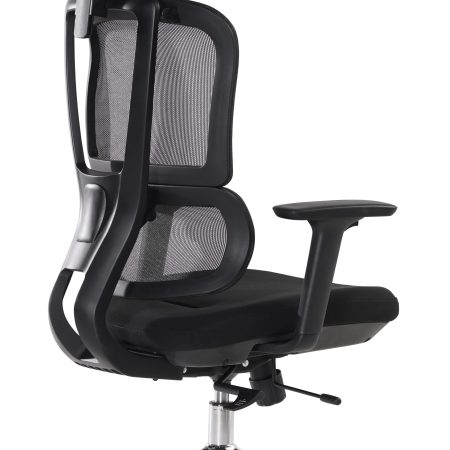 Spine office chair